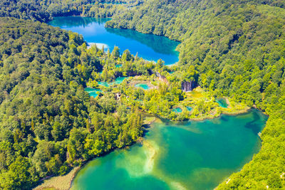 High angle view of lake amidst trees in forest