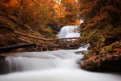 Waterfall in forest