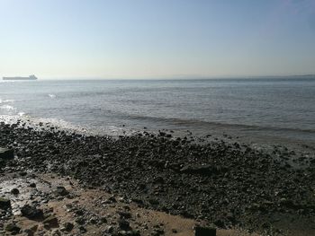 Scenic view of sea against clear sky