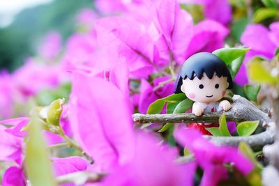 Close-up of fresh pink flowers with toy