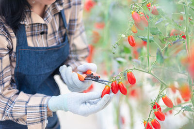 Midsection of woman holding plant