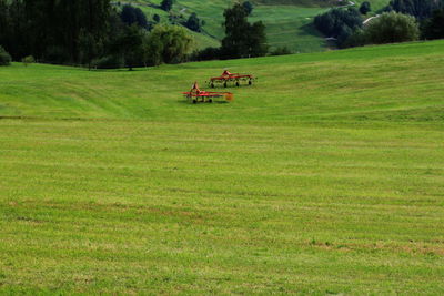 Scenic view of agricultural field