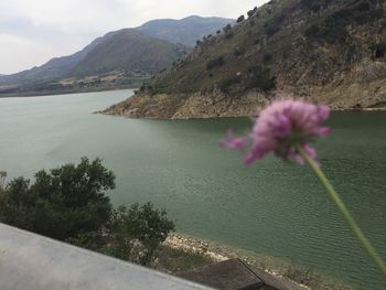 Scenic view of lake by pink and mountains against sky