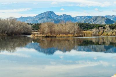 Reflection of trees in lake