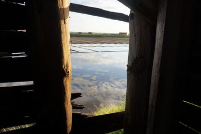 View of tree against sky