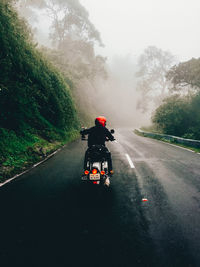 Rear view of person riding motorcycle on road