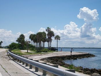 Scenic view of palm trees against sky