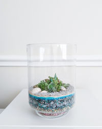 Close-up of potted plant on table against white background