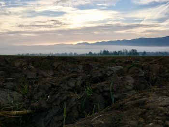 Scenic view of field against sky during sunset