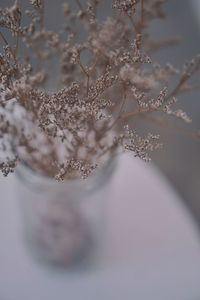 High angle view of flowers in container on table