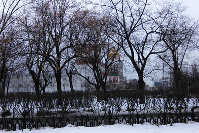 Bare trees against sky during winter