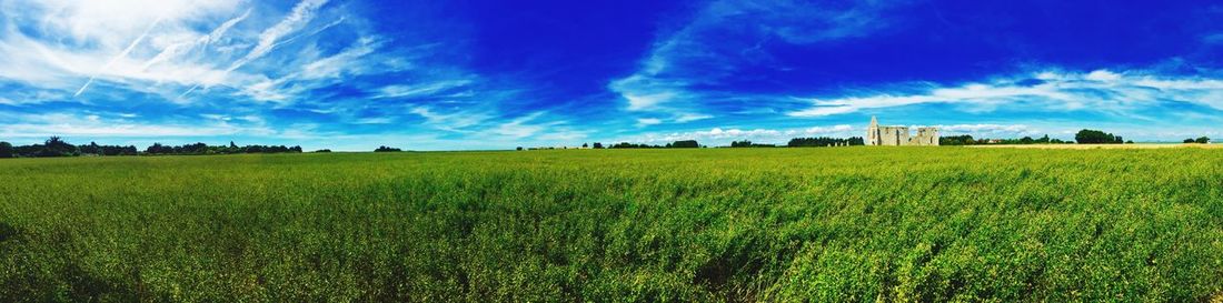 Scenic view of field against cloudy sky