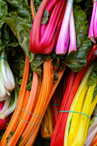 High angle view of multi colored chard for sale in market