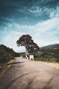 Built structure on road by trees against sky