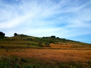 Scenic view of field against sky