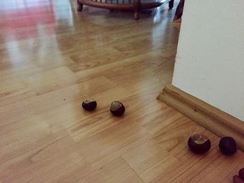 High angle view of table on hardwood floor