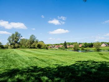 Empty golf course 