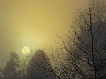 Low angle view of bare trees against sky at sunset