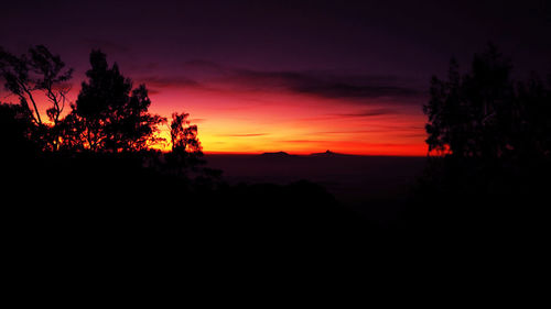 Silhouette trees against sky during sunset