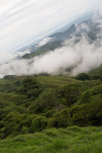 Scenic view of landscape against cloudy sky