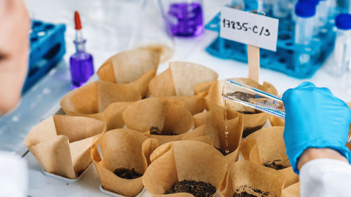 Scientist pouring chemical in dirt at laboratory