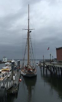 Sailboats moored in harbor against sky