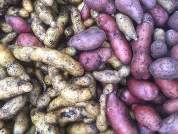 Full frame shot of food