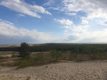 Scenic view of field against sky