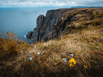 Scenic view of sea shore against sky