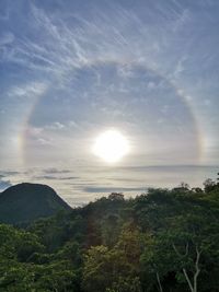 Scenic view of landscape against bright sun