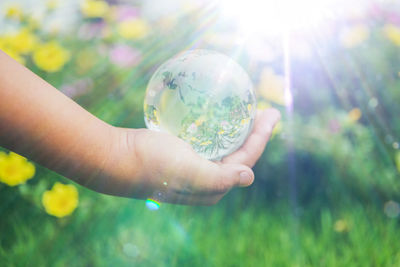 Cropped hand holding crystal ball