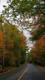 Road passing through forest