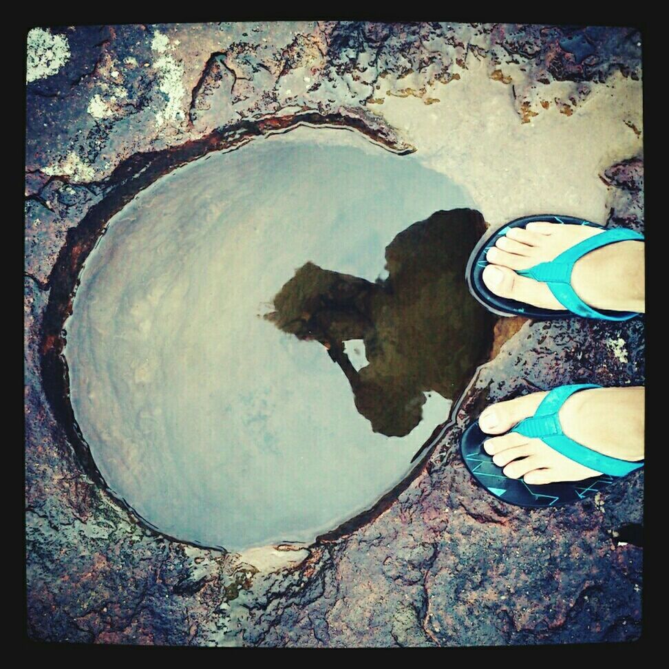 transfer print, auto post production filter, water, high angle view, rock - object, nature, blue, animal themes, day, outdoors, wildlife, stone - object, reflection, underwater, tranquility, sunlight, rock, sand, no people, one animal