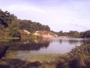 Reflection of trees in calm lake