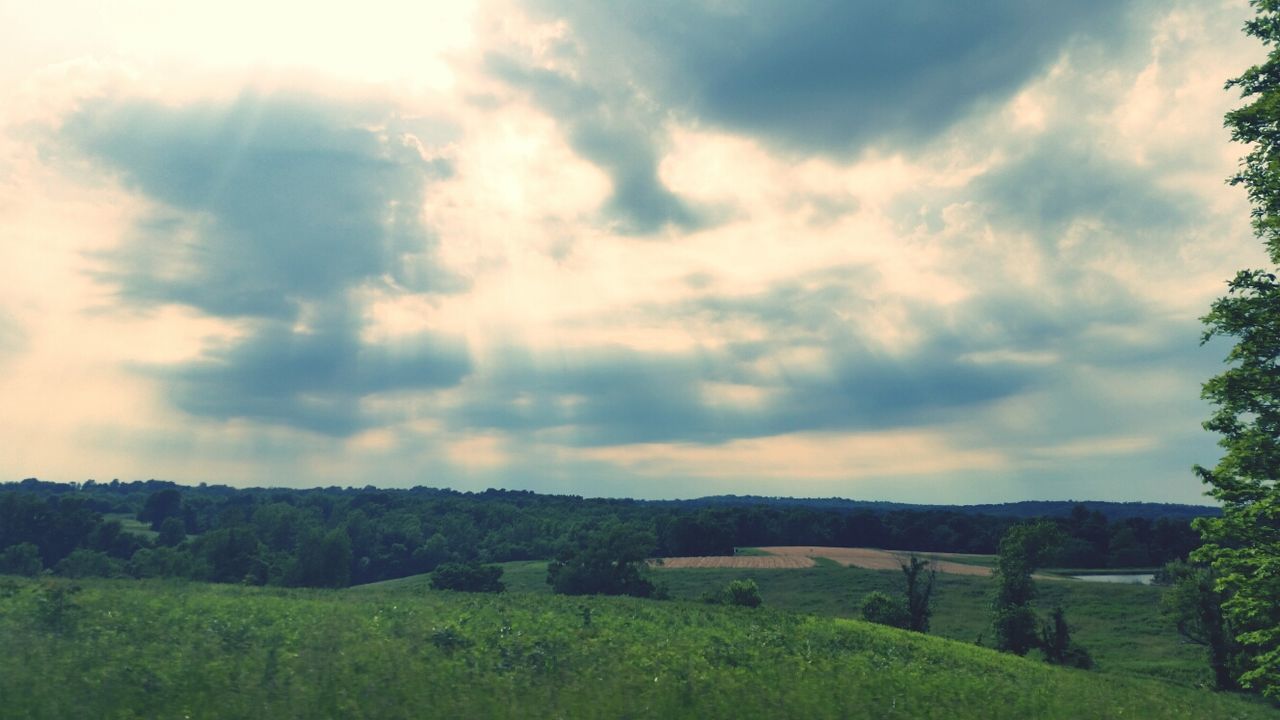 Scenic Lookout