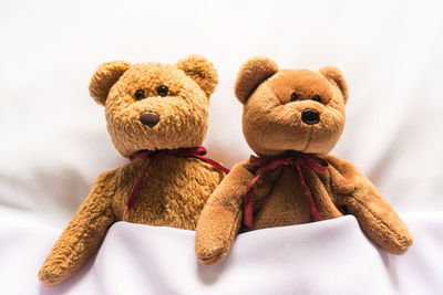 Close-up of stuffed toy over white background