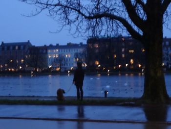 Silhouette of woman walking in park