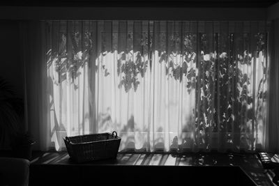 Potted plants on table at home