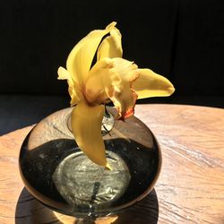 Close-up of yellow flower vase on table