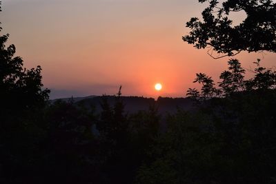 Silhouette trees against sky during sunset