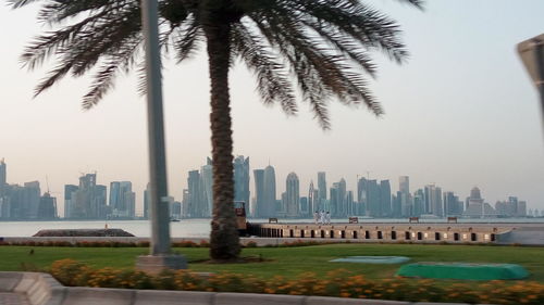 View of cityscape with palm trees in foreground