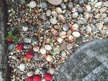 Low section of stones on rock