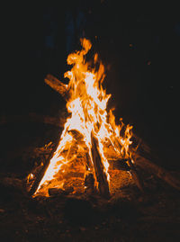 Bonfire on field at night