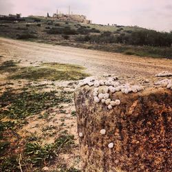 Scenic view of field against cloudy sky