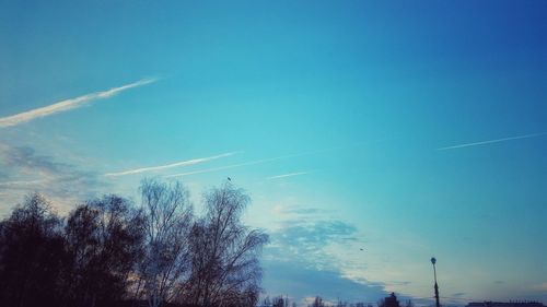 Low angle view of bare trees against blue sky