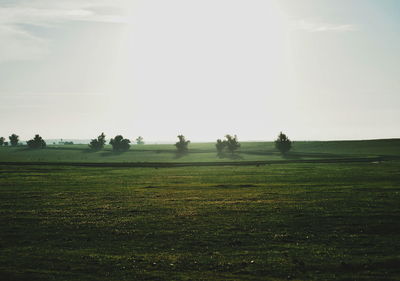 Scenic view of grassy field against sky