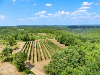 Scenic view of agricultural field against sky