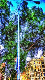 Low angle view of trees against blue sky