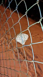 Close-up of chainlink fence