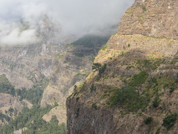 The island of madeira